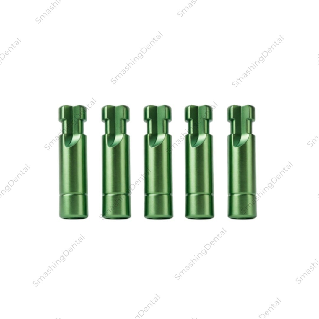 10Pcs Dental Lab Analog Inter Hex Type Fits to Hiossen Osstem Mini Regular