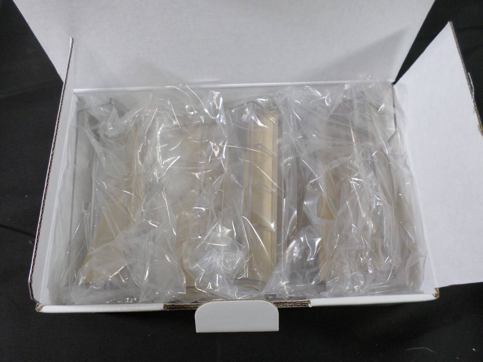 INVITROGEN Thermo Novex Cassette Electrophoresis Tank Mini Gel Adapters (10/Pk)