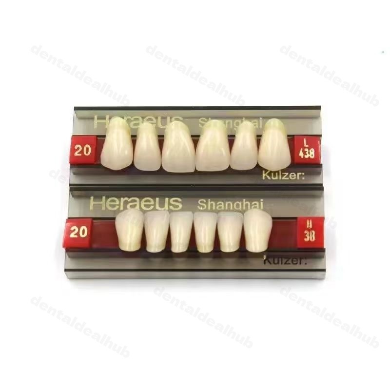 3 Layer Synthetic Resin Teeth Kit 3 Sets Box for Denture Making