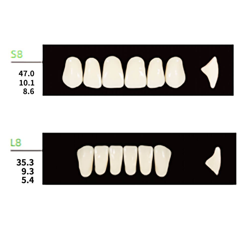112PCS/Pack Dental Synthetic Polymer Resin False Teeth Denture S8 L8 34 Shade A1