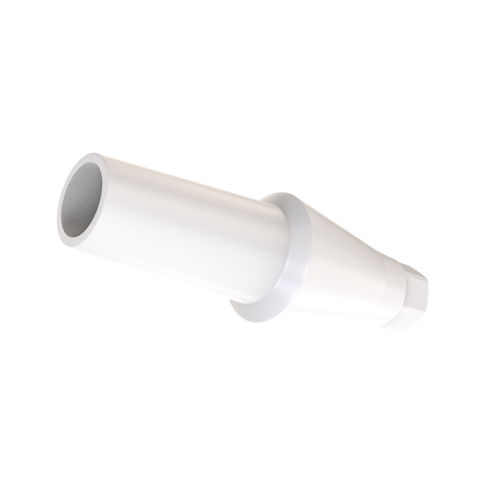 10pcs DSl Straight Abutments Anatomic Peek Conical Connection RP Dental Lab