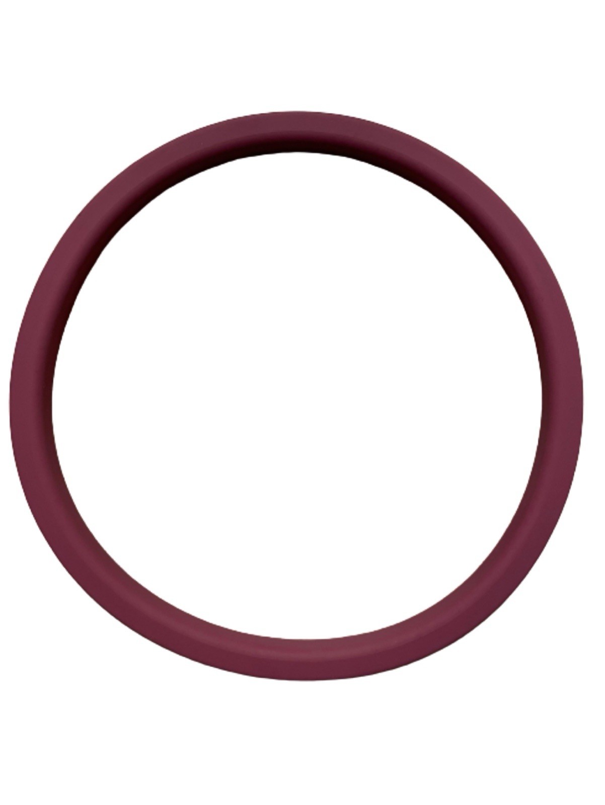 RPI Tuttnauer Door Gasket for 2340M Units, S/N 8805 and Below TUG002 New