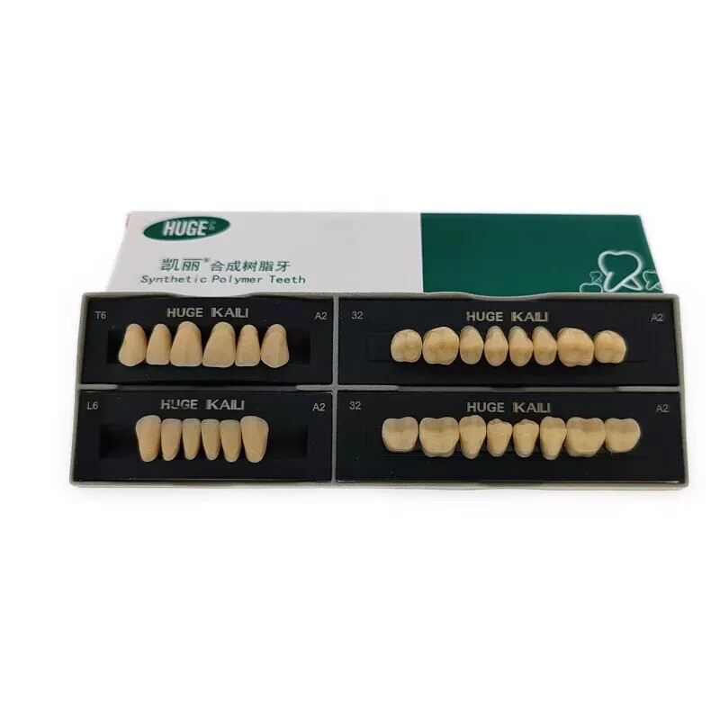 HUGE Dental Synthetic Polymer Teeth Resin False Teeth Denture Replacement 28/P