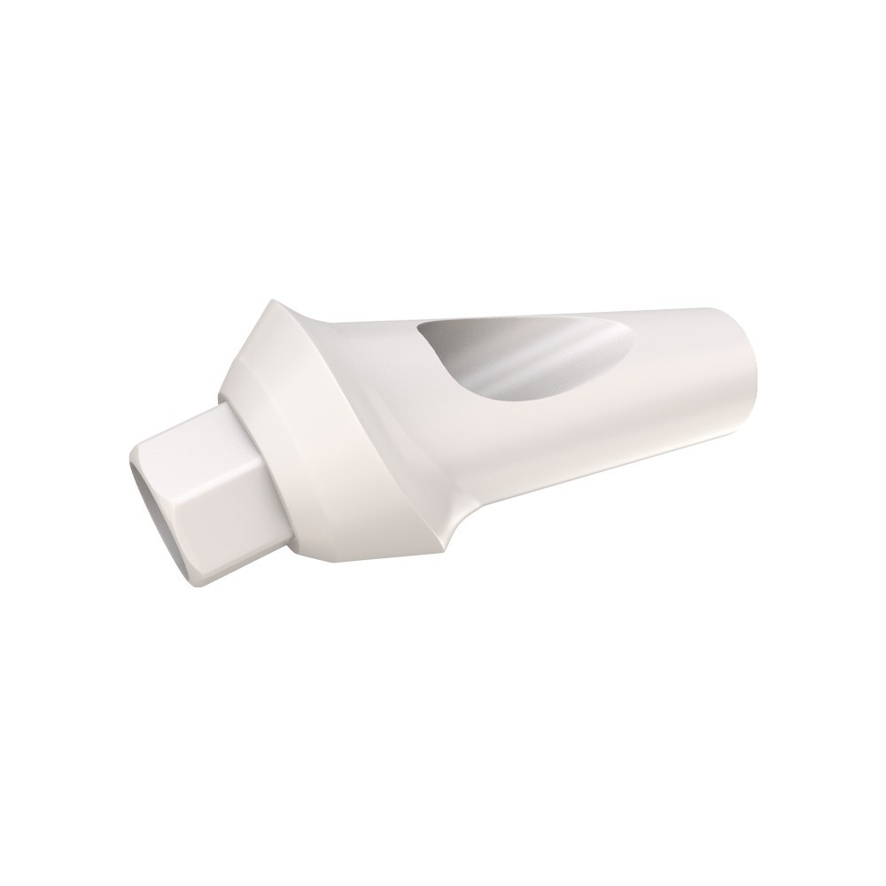 10pcs DSl Angulated Abutments Anatomic Peek With Screws 25° Internal Hex