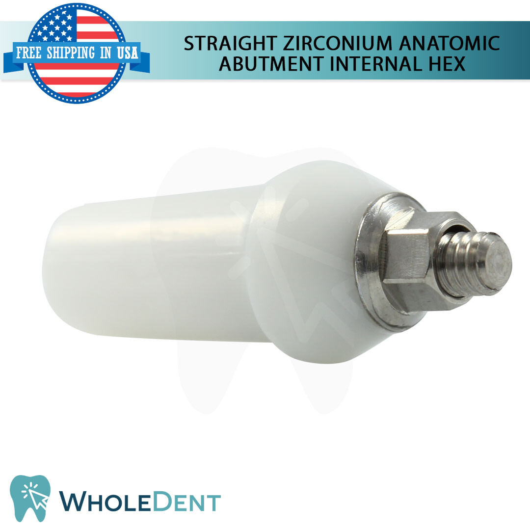 1x Straight Anatomic Zirconium Abutment Int Hex 2.42mm Dental Instrument Ø5.2mm
