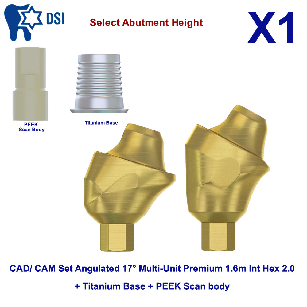 CAD/CAM Set Angulated 17° Multi Unit Abutment Int Hex 2.0 PEEK Scan Body Ti Base