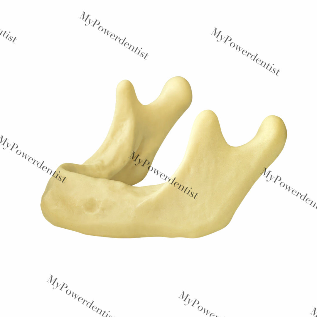 Dental Resin Alveolar Jaw Bone Replica Study Model Embed GBR Practice Blocks