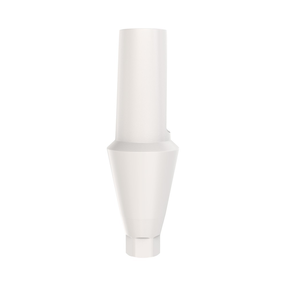 1pcs DSl Straight Abutment Anatomic Peek Conical Connection NP Dental Lab