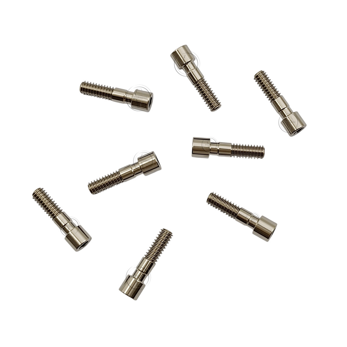 10-100 Pcs Titanium Abutment Screw compatible with C-TECH platform Regular