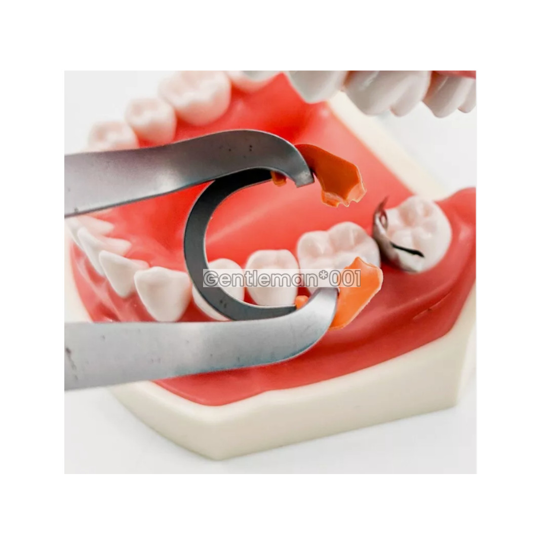 Dental Matrix Band Ring Sectional Matrice Clamp C2 D2/3 Fit Garrison Palodent V3