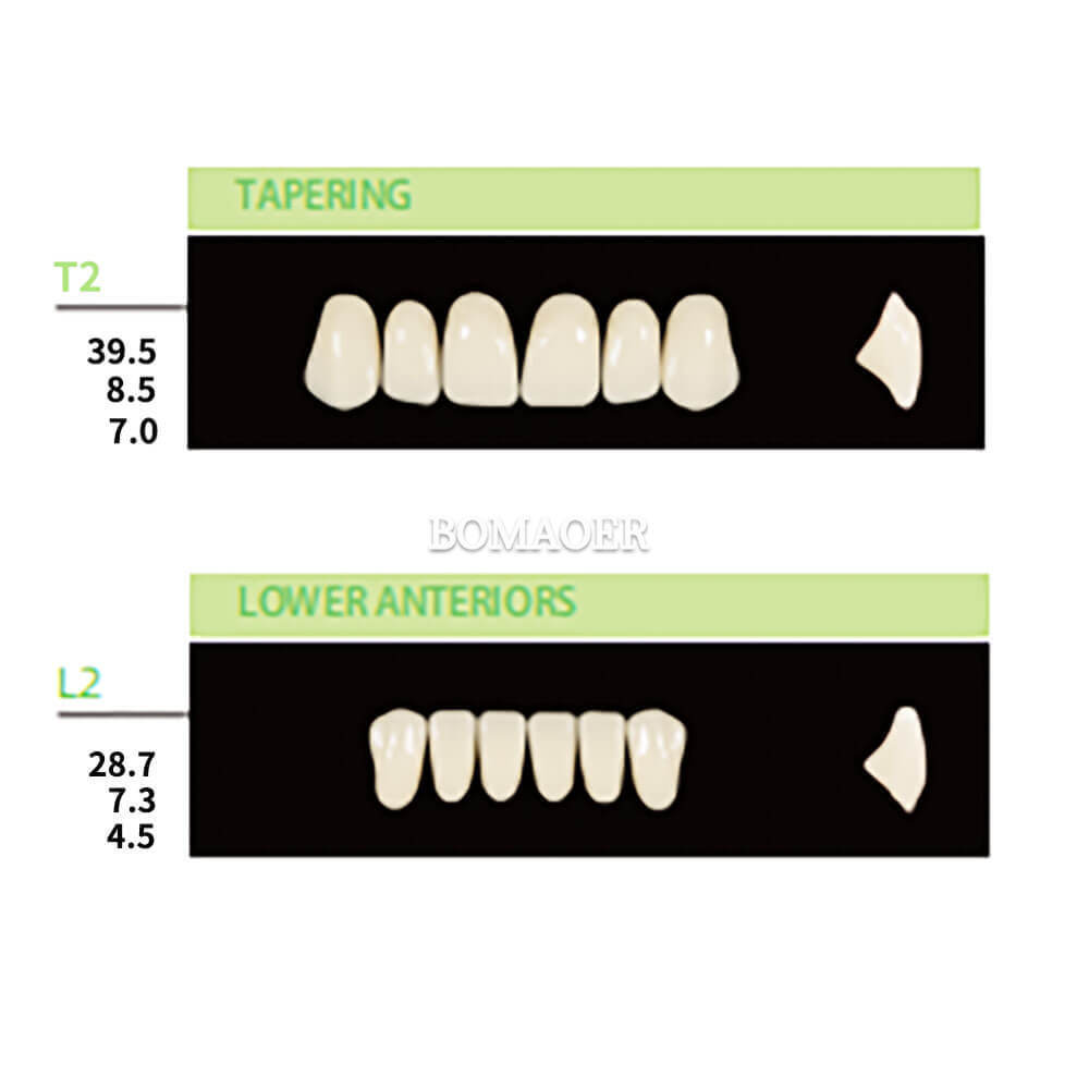 1Box Dental Synthetic Polymer Resin False Teeth Denture T2 L2 30 4 Sets 28pc/set