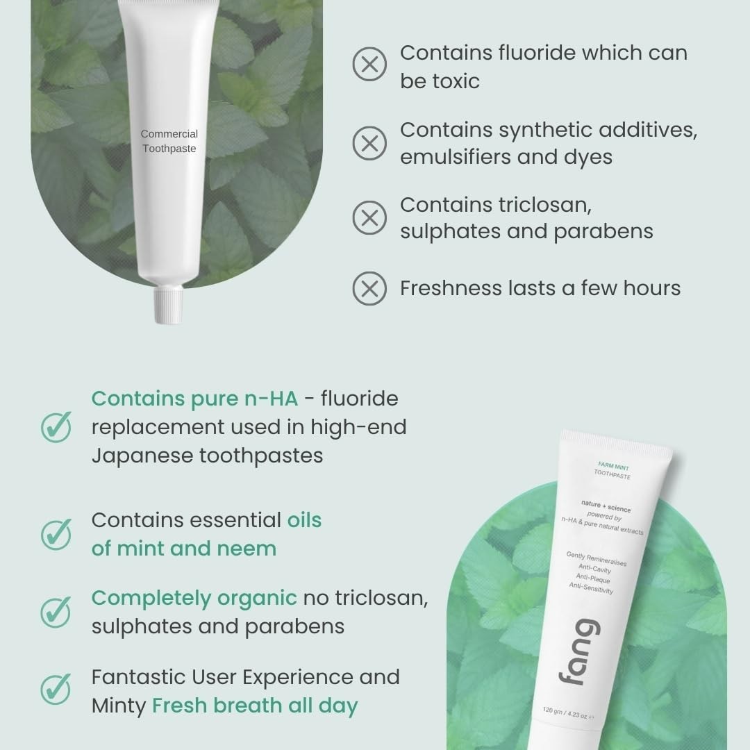 Fang Farm Mint Natural Toothpaste – 120 grams (Pack of 2)