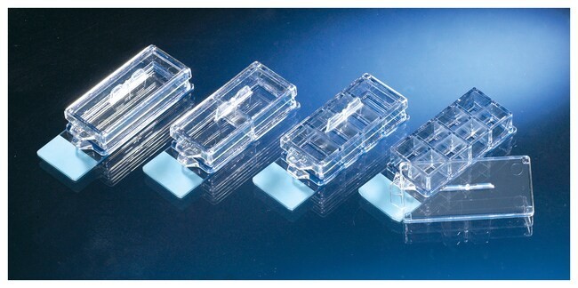 Thermo Scientific Lab-Tek II CC2 8-well Chamber Slide w/Cover, Sterile (PK of 8)