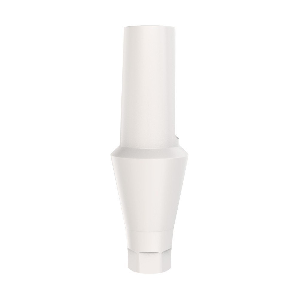 10pcs DSl Straight Abutments Anatomic Peek Conical Connection RP Dental Lab