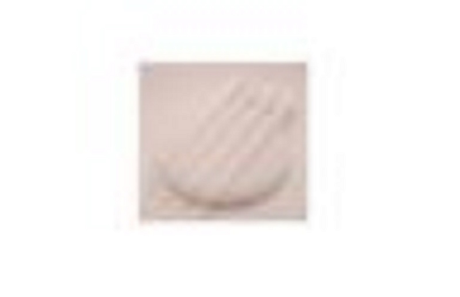 Plasdent Universal Disposable Surgical Aspirator Suction Tips 1/4″ 500Pk White