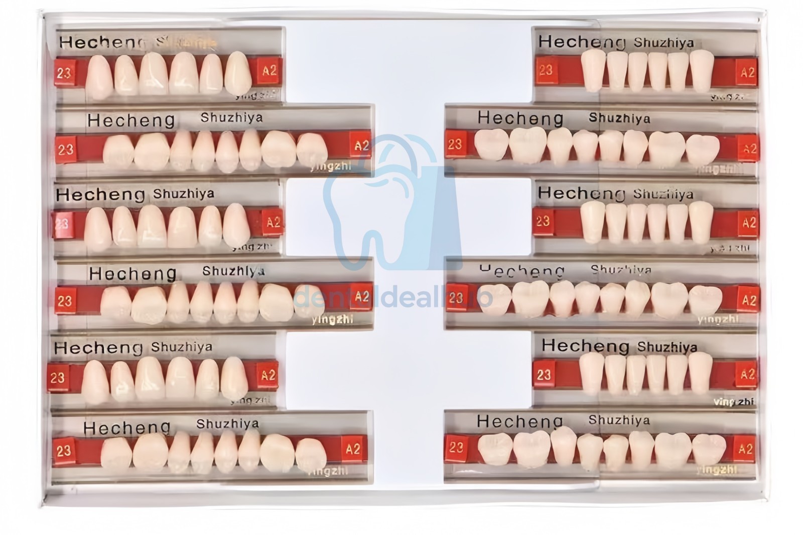 6Sets Denture 23#22# Shade A2 A3 Acrylic Resin Full Set Teeth Upper Lower Dental