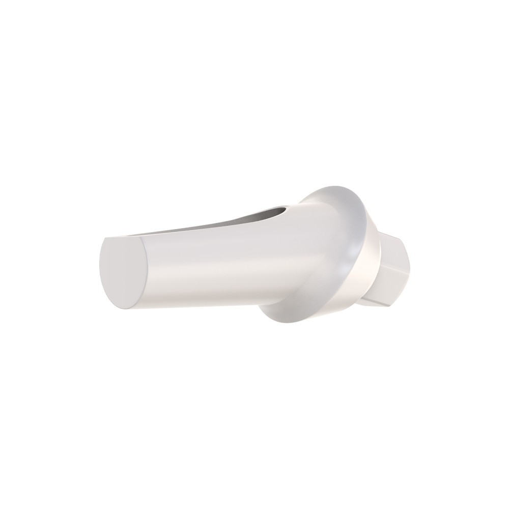5pcs DSl Angulated Abutments Anatomic Peek With Screws 15° Internal Hex