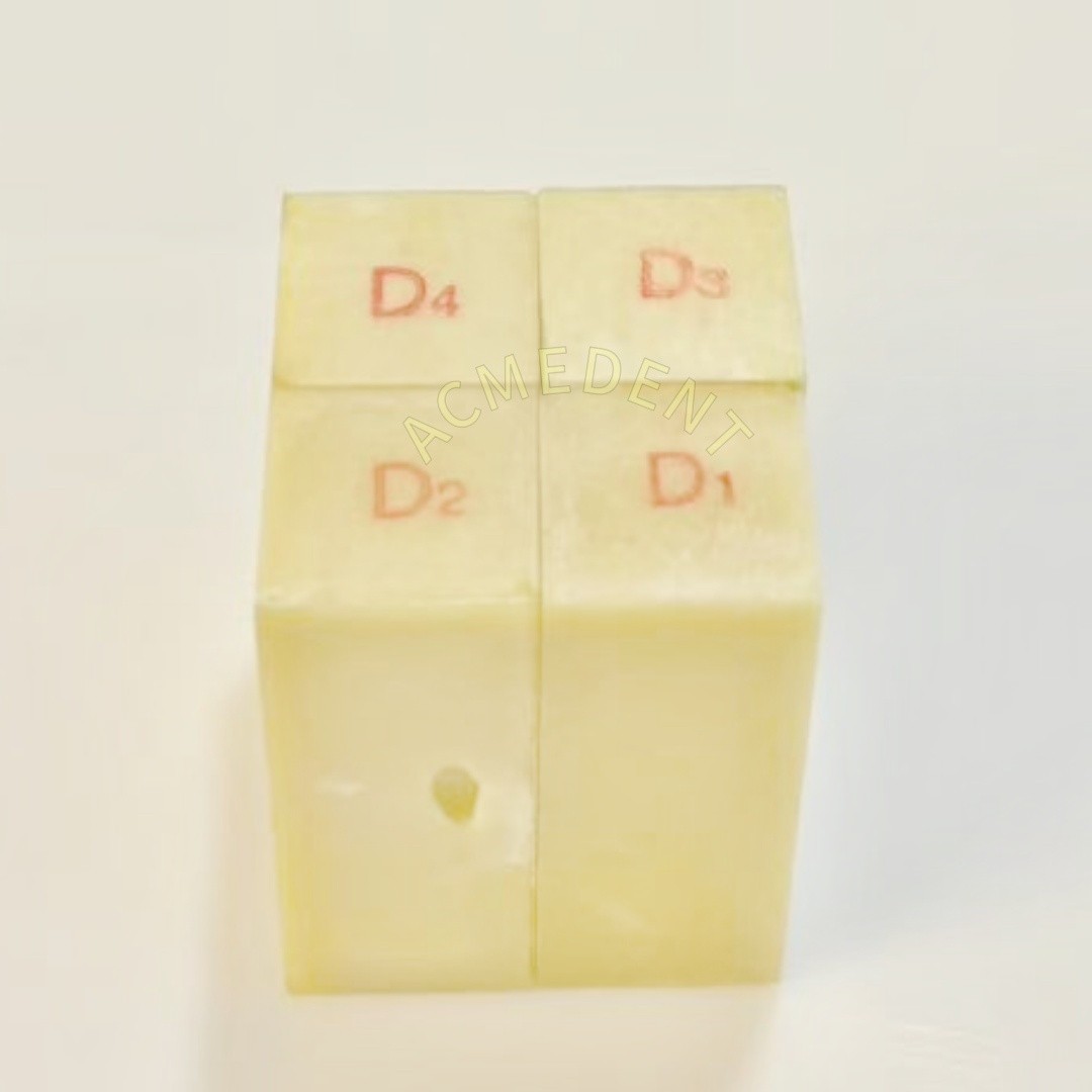 Dental Jaw Replica Blocks Tooth GBR Practice Model Dentist Drills Training Block