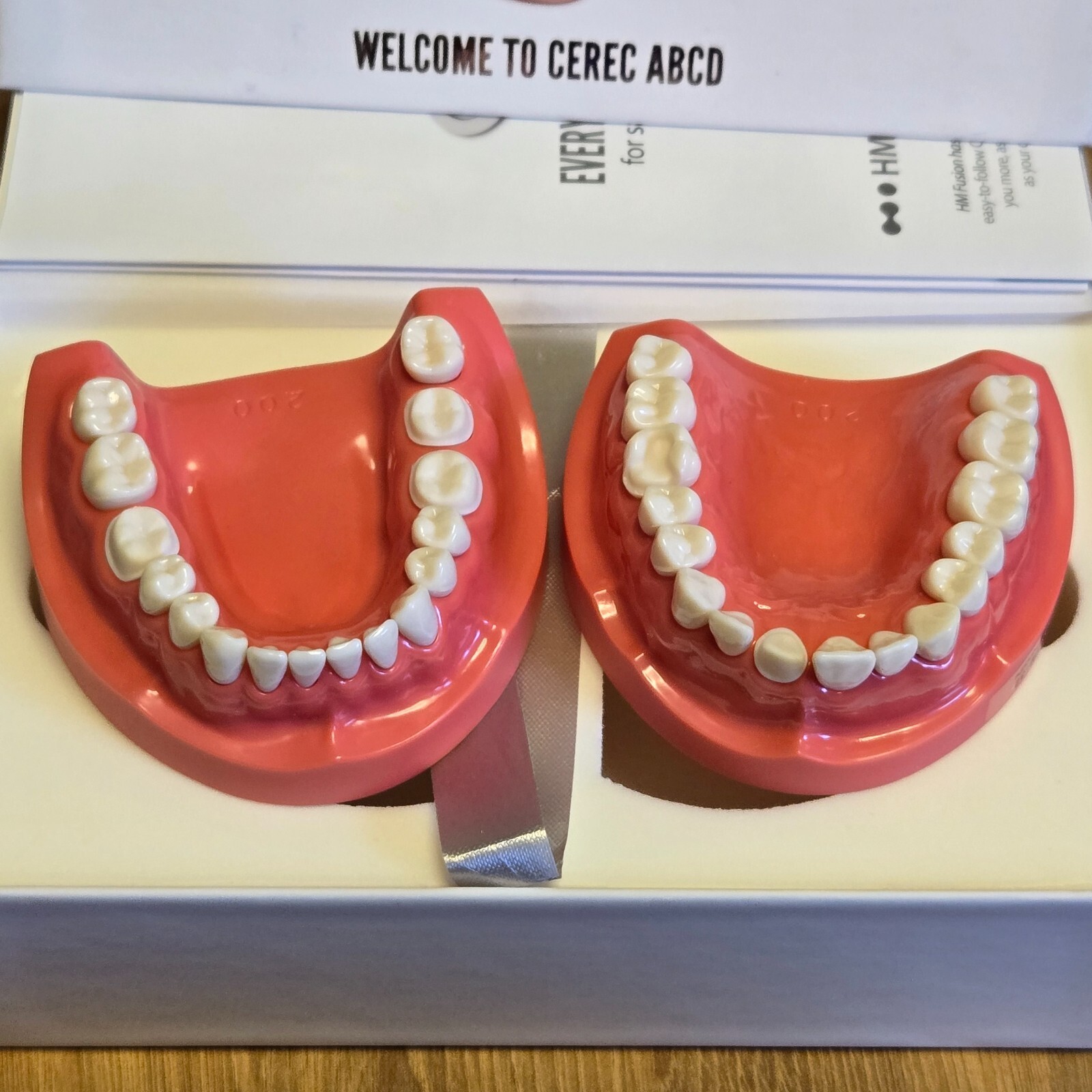 CEREC ABCD – Real Life Practice Scanning Model – New in Box – Patterson