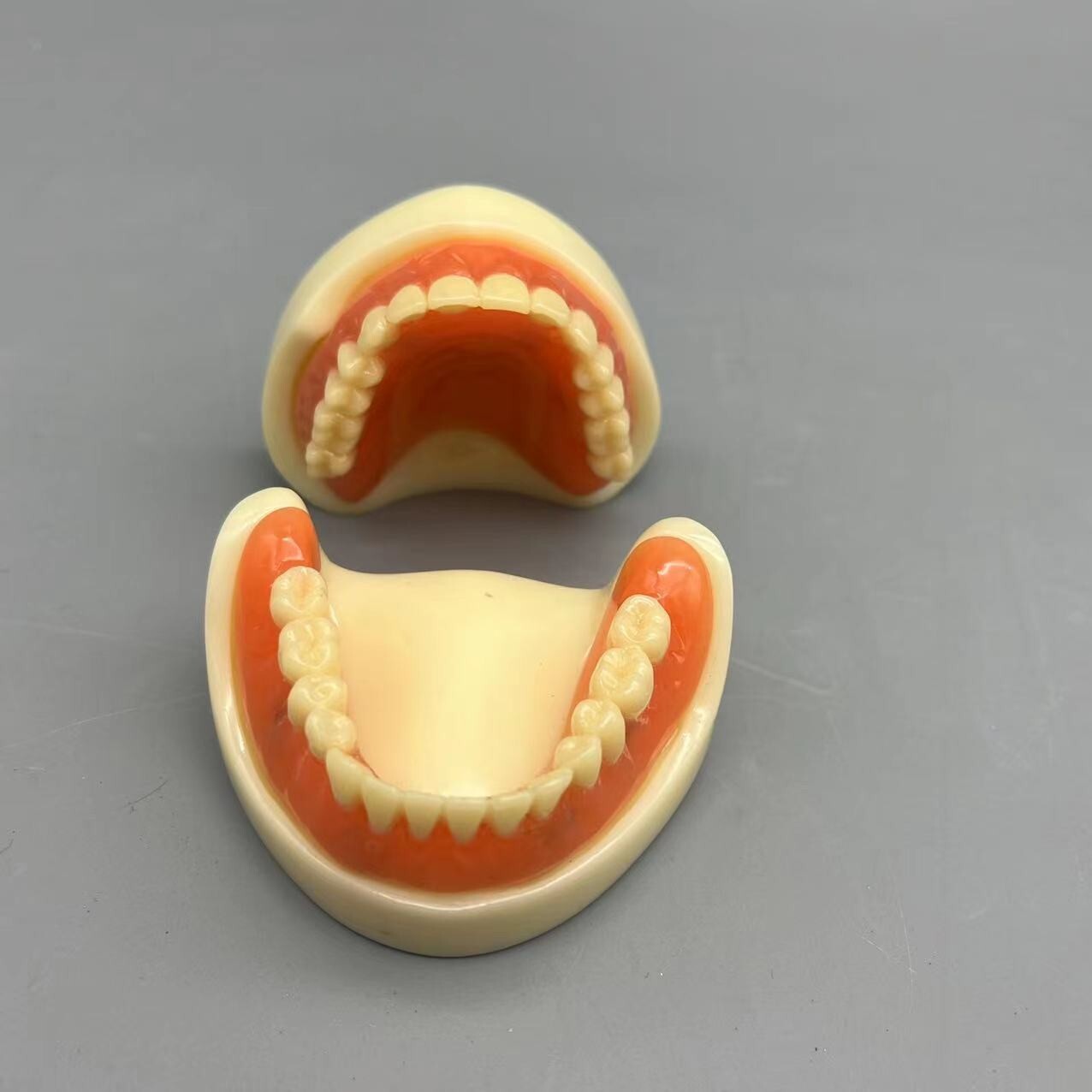 Dental 4 Implants Overdenture Typodont Restoration Upper Lower Lower Teeth Model