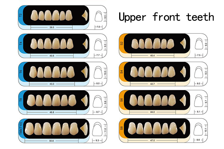 1 box Dental Acrylic Resin Denture Full Set Teeth Upper Lower Shade