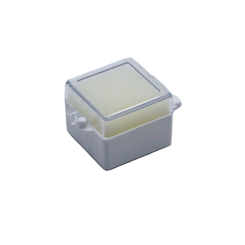 50pcs Denture Sponge Case Dental Foam Crown Box with 1 inch 2 inch