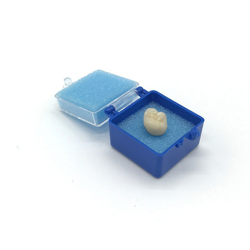 10pcs 1 inch Denture Case Dental Crown Box Teeth Storage Sponge Case Box