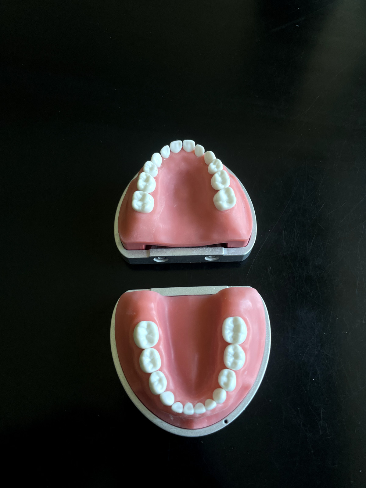 Acadental ModuPRO Pedo Articulator with Replacement Teeth