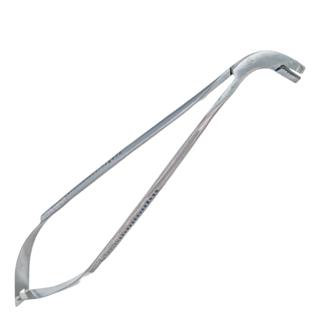 2Pcs Dental Matrix System Plier Matrices Placment Forceps Insert Clear SS Bands