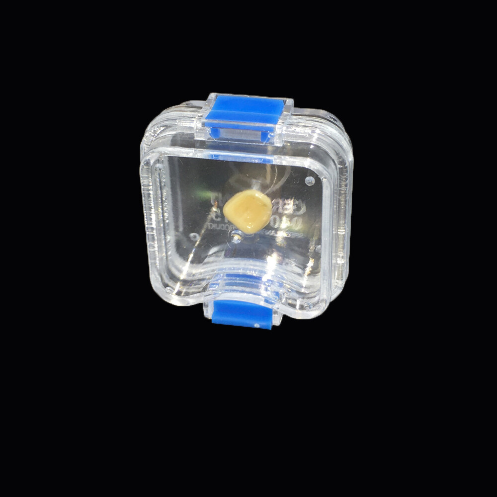 20pcs Denture Plastic Membrane Box Storage Case with Film Dental Teeth Box