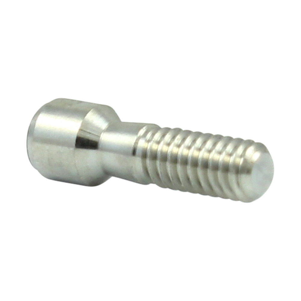 10 Dental Fixture BEGO Compatible Anatomicaly Shaped Straight Adapter Head 57848
