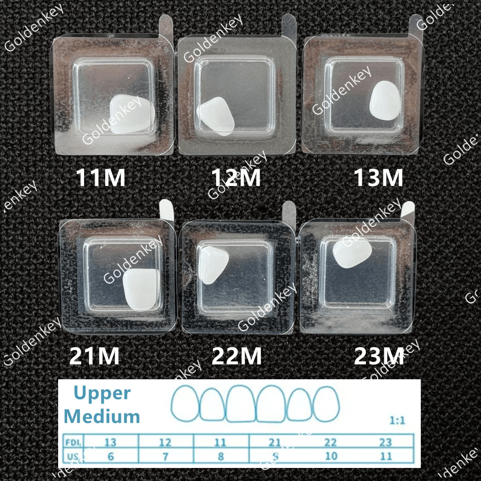 Dental Tooth Veneers Composite Ceramic Whitening Fast Quick Veneers Upper L/M/S