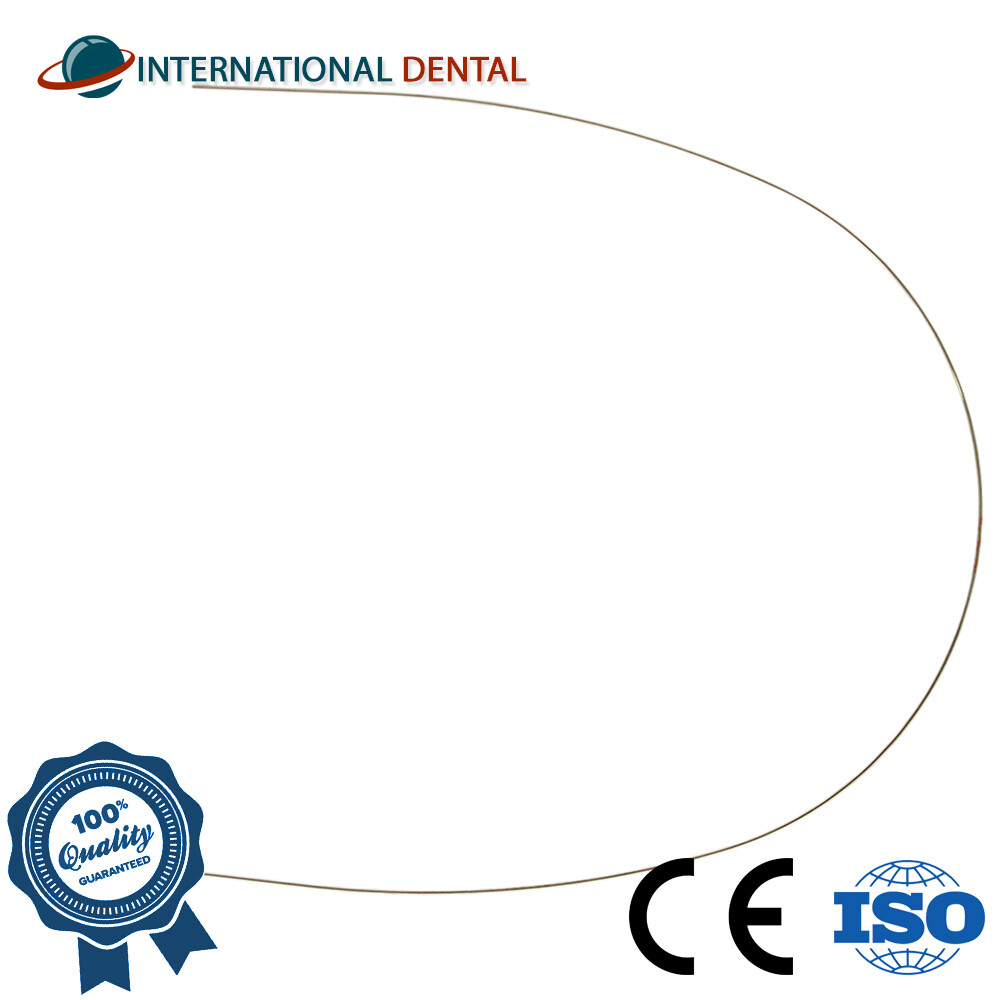 Orthodontic Dental Morelli Intraoral Archwire CrNi Steel Wire Wires Round