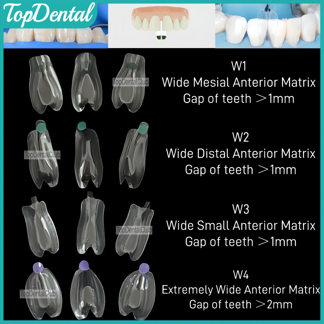 USA Clear Matrix Dental Anterior Posterior Transparent BT Matrices Fits BioClear