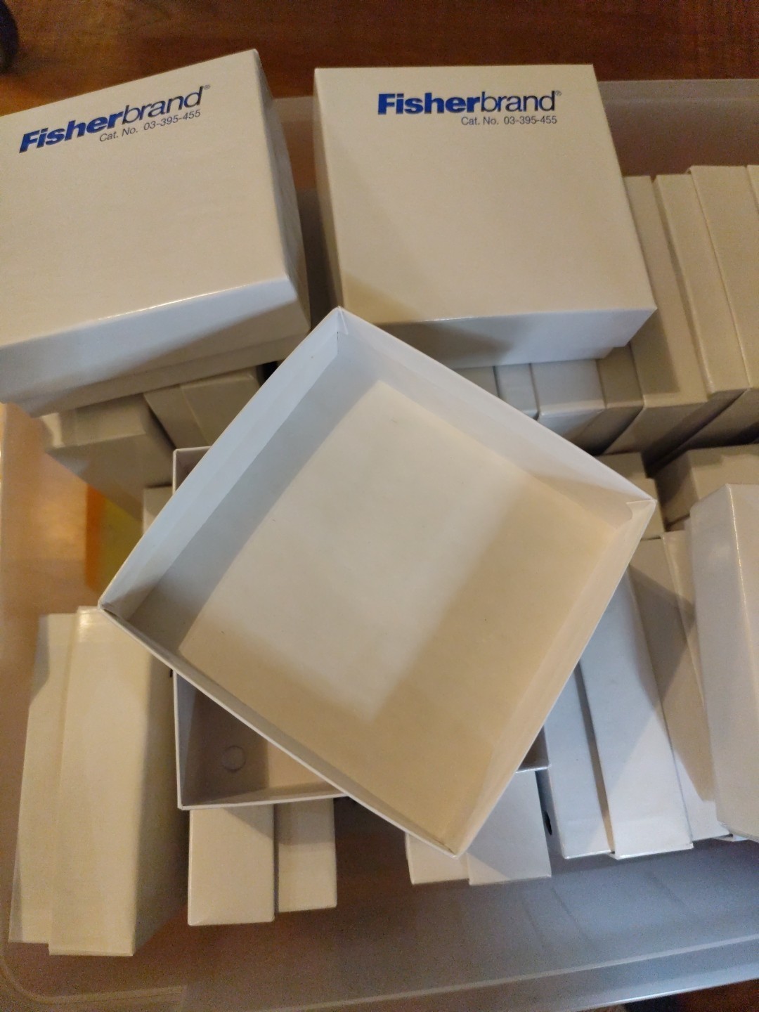 Fisherbrand Cryo/Freezer Box without dividers 03-395-455 One Each