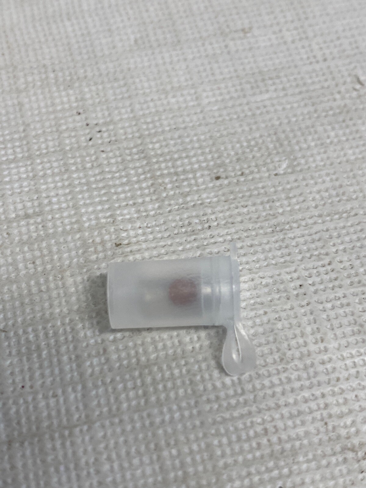 (2) EMS Holey Carbon Film on 3.05mm OD Specimen Grid 80010