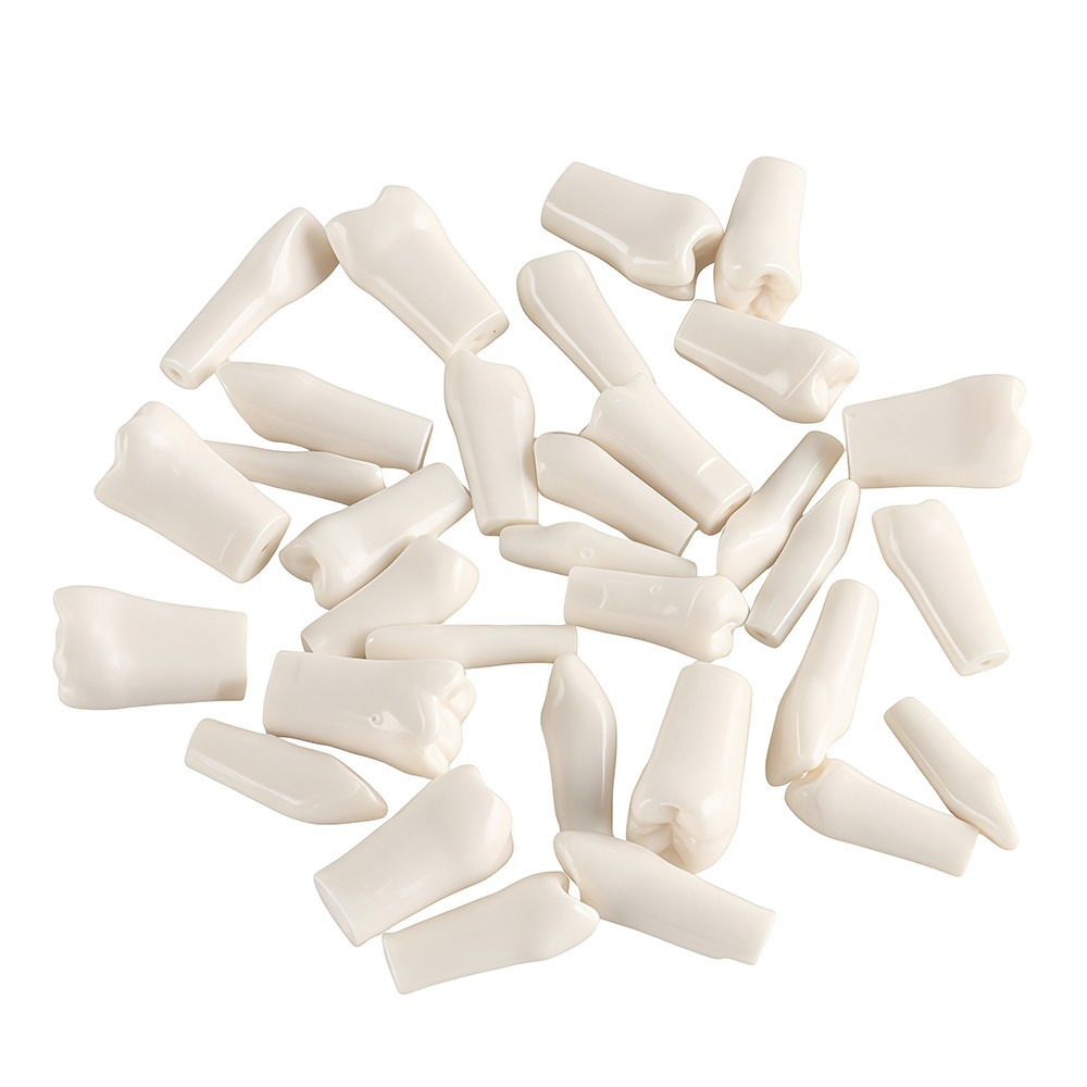 32Pcs Tooth Granule Set Dental Typodont Replacement Screw-in Teeth Model