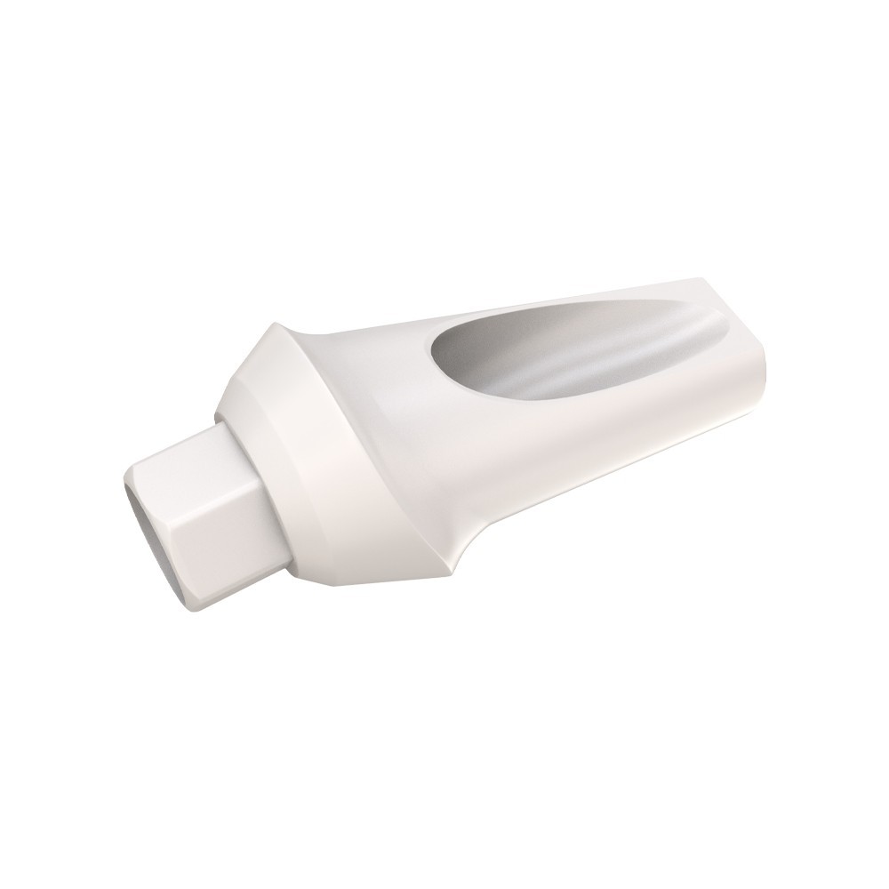 10pcs DSl Angulated Abutments Anatomic Peek With Screws 15° Internal Hex