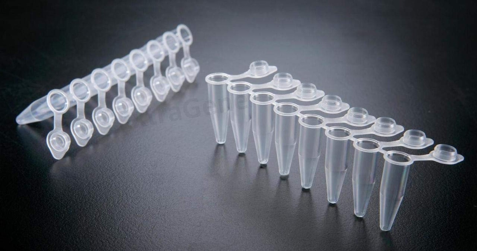 Extragene PCR Tube with 0.2ml Thin Wall, Strip of 8 Tubes, Snap Flat Caps DNa…