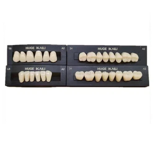 HUGE Dental Synthetic Polymer Teeth Resin False Teeth Denture Replacement 28/P