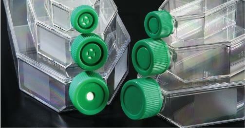 SPL Cell Culture Flask 75 cm2 (T75) Filter Cap, Treated, Sterile, 100/Case
