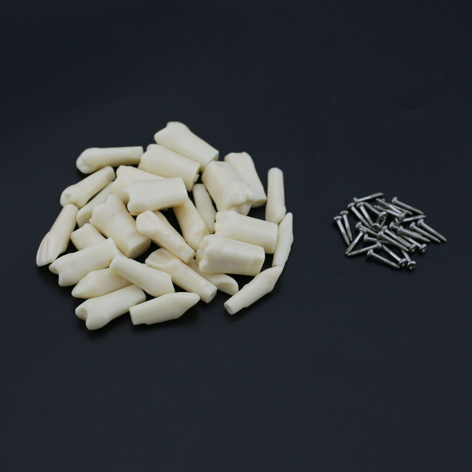 2 Set Dental Removable Screw-in Typodont Grain Teeth 28Pcs+32Pcs Tool Instrument