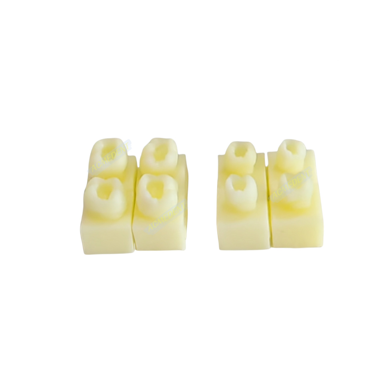 40-Pcs Dental Flow Composite Resin Filling Model Practise Fit with Ivolclar KERR