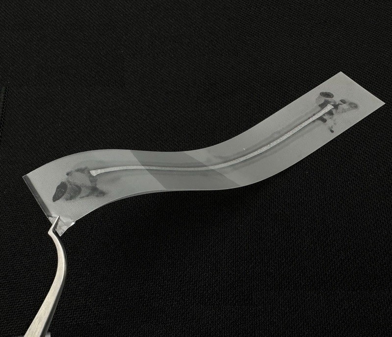 1pcs Dental Glass Fiber Splint Ribbond Ribbon Type Composite Resin Bonding Strip