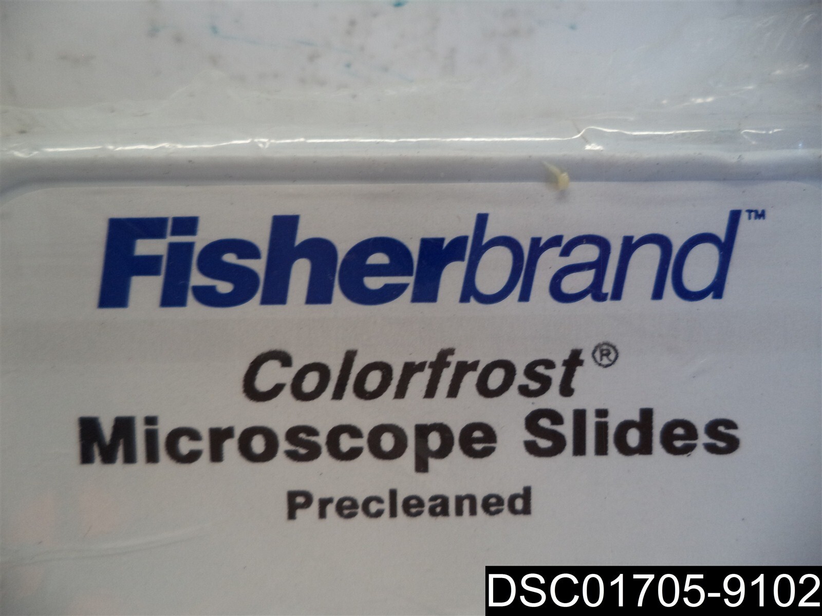 Fisherbrand ColorFrost Disposable Microscope Slides, 22-037-081, 25mmX75mmX1mm