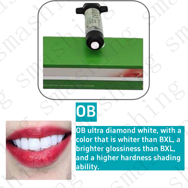 Dental KULZER CHARISMA Composite Resin Diamond Bleach White Light Cure BL BXL OB