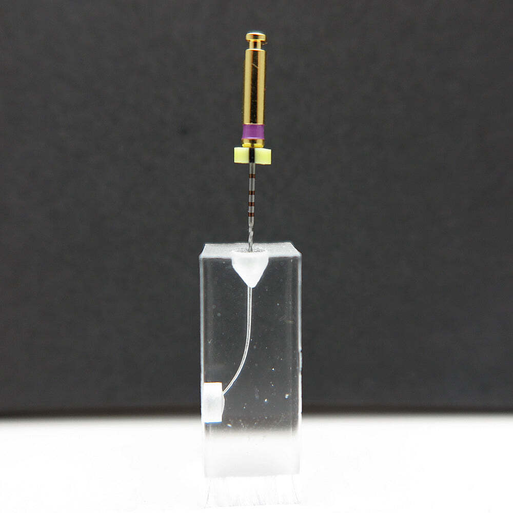 10 PCS Dental Endo Block Root Canal Files RCT Practice Model Clear Acrylic Resin