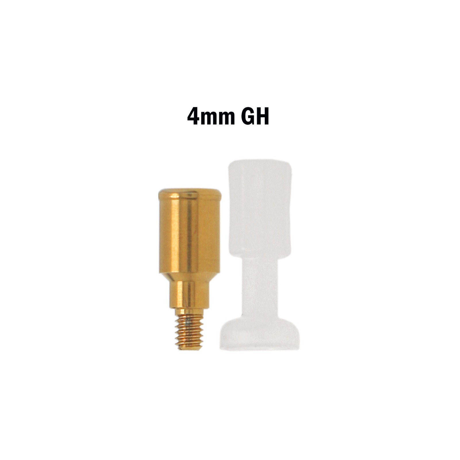 Dental Zimmer MIS Adin PA Ø3.5/4.5mm Abutment & Overdenture Male Caps Removable