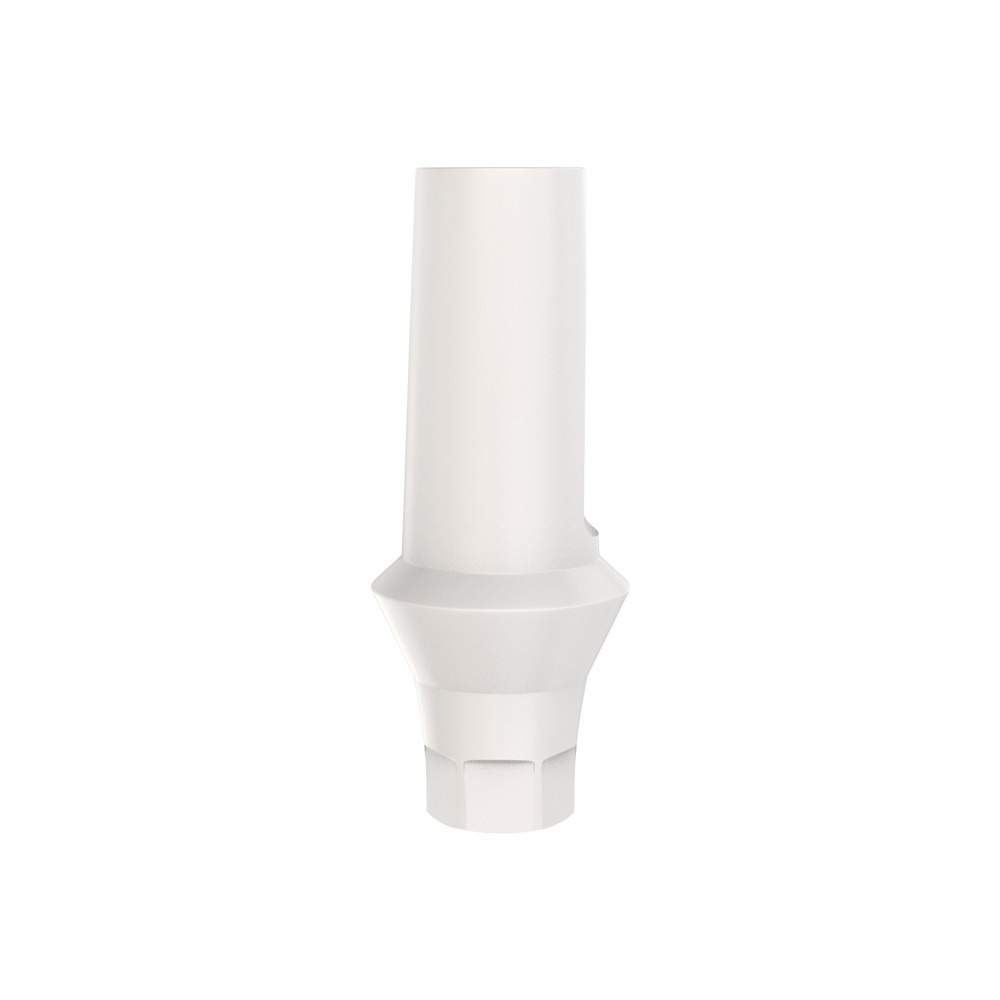 10pcs DSl Straight Abutments Anatomic Peek Conical Connection RP Dental Lab