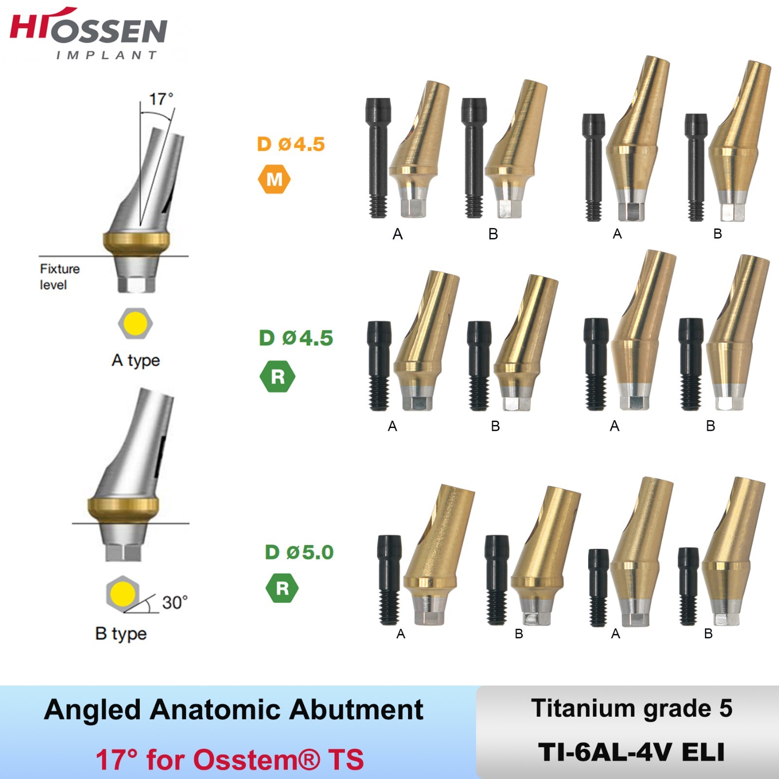 US 17° Angulated Abutment Mini/Regular Hex A/B Transfer Fit Osstem TS/Hiossen ET
